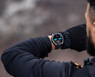 La serie Fenix 8 è ora idonea per il suo terzo aggiornamento beta. (Fonte: Garmin)