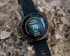 Potrebbero essere trapelate nuove versioni dello smartwatch Garmin Fenix 8 (sopra). (Fonte: Garmin)