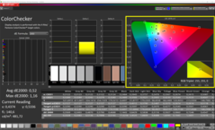 CalMAN - ColorChecker (calibrato)