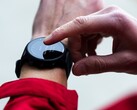 È arrivato un nuovo aggiornamento beta per lo smartwatch Garmin Forerunner 955. (Fonte: Garmin)