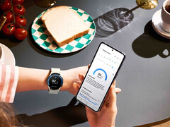 One UI 6 Watch si sta diffondendo su tutti i recenti smartwatch Samsung Galaxy Watch. (Fonte: Samsung)