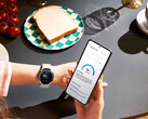 One UI 6 Watch si sta diffondendo su tutti i recenti smartwatch Samsung Galaxy Watch. (Fonte: Samsung)