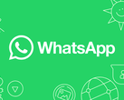 La nuova funzione di traduzione di WhatsApp avrà un supporto linguistico limitato all'inizio (Fonte: WABetaInfo)