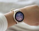 È arrivato un nuovo aggiornamento beta per gli indossabili Garmin Vivoactive 5 (sopra) e Venu 3. (Fonte: Garmin)