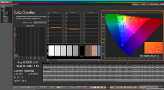 ColorChecker dopo la calibrazione