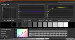 Scale di grigio CalMAN - calibrate