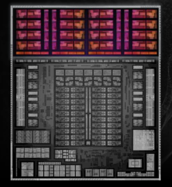 Illustrazione di Ryzen AI Max+ 395, CPU evidenziata in rosso (fonte: AMD)