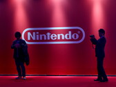 Secondo le parole di Nintendo, "L'introduzione di emulatori creati per riprodurre software Nintendo copiati illegalmente rappresenta la più grande minaccia fino ad oggi ai diritti di proprietà intellettuale degli sviluppatori di videogiochi". (Fonte: Nintendo)