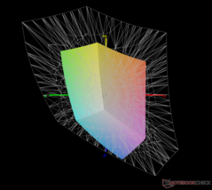 rispetto al display P3: copertura del 41,8%