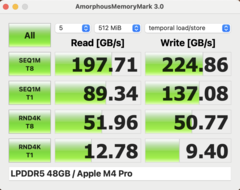 Memoria amorfa Mark M4 Pro