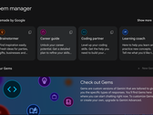 Gem Manager (Fonte immagine: Google)