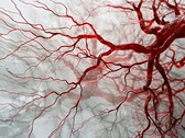 La nuova tecnologia basata su PAT può essere utilizzata per catturare immagini rapide e prive di sfocature dei vasi sanguigni per una diagnosi tempestiva. (Fonte: Neuroscience News)