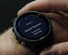 Garmin distribuirà la versione beta 22.12 a diversi smartwatch Forerunner. (Fonte: Garmin)