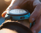 Il Forerunner 265 ha ricevuto il suo primo aggiornamento dalla primavera. (Fonte: Garmin)