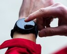 La versione beta 22.22 di Garmin è ora disponibile per gli smartwatch, incluso il Forerunner 955. (Fonte: Garmin)