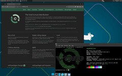 Void 20250202 Linux è ora disponibile per Apple Silicon, Lenovo Thinkpad X13s e Pinebook Pro (Fonte immagine: Void Linux)
