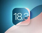 iOS 18.3 potrebbe ricevere presto un'altra nuova funzione. (Fonte immagine: Apple)