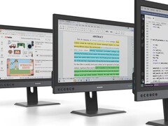 Il Paperlike Color Revolutionary è un monitor E Ink veloce. (Fonte immagine: Dasung)