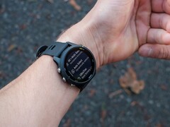 Garmin ha rilasciato l&#039;aggiornamento 20.26 per il Forerunner 255. (Fonte: Garmin)