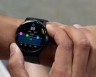 È stata rilasciata una versione stabile del software Garmin 13.17 per gli smartwatch Venu 3 e vivoactive 5. (Fonte: Garmin)