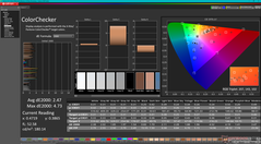 ColorChecker prima della calibrazione (P3)