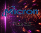 Micron è la prima a spingere per l'adozione di PCIe 6.0 (Fonte immagine: Micron)