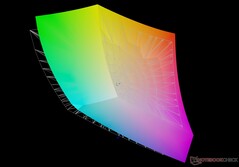 vs. Adobe RGB: 88,9% di copertura