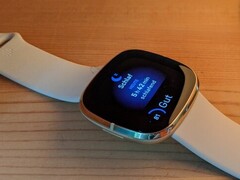 Fitbit Sense e Versa 3 possono surriscaldarsi (Fonte: Inge Schwabe)