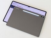 I nuovi tablet di fascia alta di Samsung sono ora ufficiali (fonte: Notebookcheck)