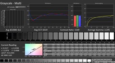 CalMAN: scala di grigi (calibrata)