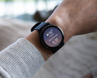 Garmin sta testando la nuova funzionalità dell'assistente vocale sui modelli Vivoactive 5 e Venu 3 con l'ultimo aggiornamento beta della coppia. (Fonte: Garmin)