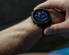 Lo smartwatch Garmin Forerunner 255 sta ricevendo la beta 15.18. (Fonte: Garmin)