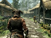 Immagine dal gioco The Elder Scrolls V: Skyrim. (Fonte: Steam)