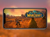 Blizzard e NetEase potrebbero lavorare nuovamente su una versione mobile di World of Warcraft. (Fonte: Blizzard)