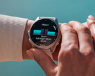 L'ultimo aggiornamento di Garmin introduce una nuova serie di correzioni di bug, miglioramenti e nuove funzioni. (Fonte: Garmin)