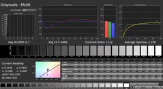 CalMAN: scala di grigi (calibrata)