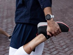 Garmin sta distribuendo la versione beta 20.15 per lo smartwatch Forerunner 255. (Fonte: Garmin)