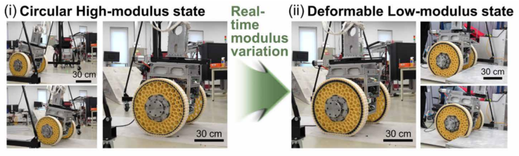 Immagini che mostrano la transizione di stato tra (i) lo stato circolare ad alto modulo e (ii) lo stato deformabile a basso modulo della ruota. (Fonte immagine: KIMM)