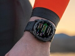 Alcuni smartwatch Garmin Fenix 8 presentano problemi legati all&#039;acqua fredda. (Fonte: Garmin)