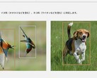 Queste due foto, tra le altre presenti sulla pagina del prodotto Lumix S9, hanno dato il via alla controversia (fonte: Panasonic)