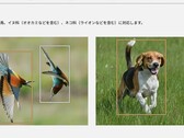Queste due foto, tra le altre presenti sulla pagina del prodotto Lumix S9, hanno dato il via alla controversia (fonte: Panasonic)