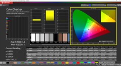 CalMAN ColorChecker calibrato