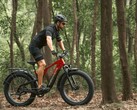 La e-bike Vanpowers GrandTeton-Pro ha un motore da 750W. (Fonte: Vanpowers)