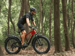 La e-bike Vanpowers GrandTeton-Pro ha un motore da 750W. (Fonte: Vanpowers)