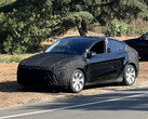 Il refresh della Tesla Model Y Juniper è finalmente apparso, segnalando i progressi verso un lancio all'inizio del 2025. (Fonte: u/JacklJackon Reddit)