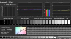 CalMAN: scala di grigi (calibrata)