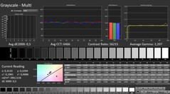 CalMAN: scala di grigi (calibrata)