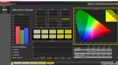 Saturazione calibrata