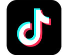 La Corte Suprema degli Stati Uniti ascolterà la sfida di TikTok al divieto del paese (Fonte: TikTok)