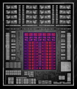 Illustrazione di Ryzen AI Max+ 395, GPU evidenziata in rosso (fonte: AMD)